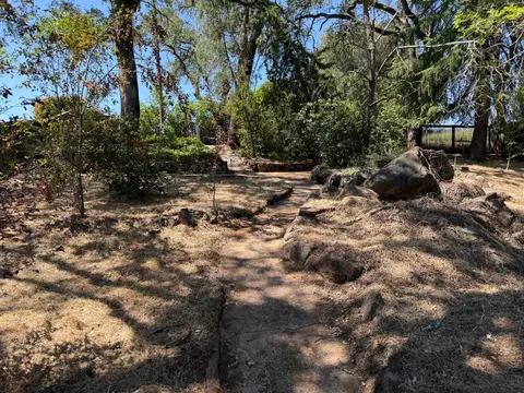 Exterior - 231 Boarman St, Jackson, CA 95642 photo 22 of 23