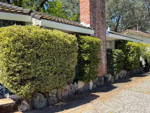 Exterior - 231 Boarman St, Jackson, CA 95642 photo 4 of 23