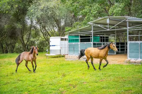 10 Acres Hollow Ln, Greenwood, CA 95635