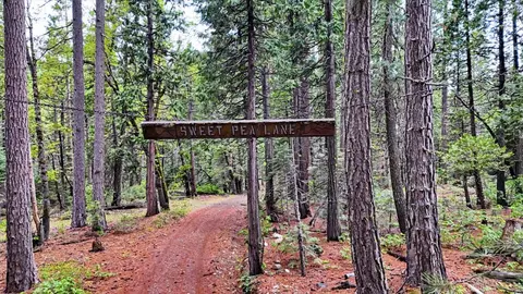 0 Texas Hill Rd, Emigrant Gap, CA 95715