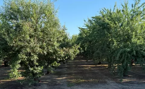 2700 North Ave, Modesto, CA 95358 photo 3