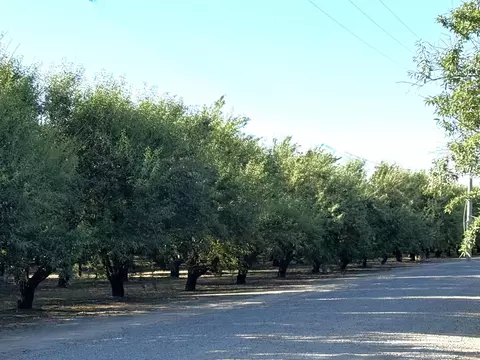 2700 North Ave, Modesto, CA 95358 photo 12