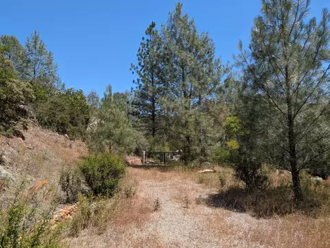 4647 Summer Stream Ln, Placerville, CA 95667 photo 11