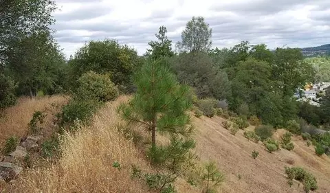 0 Mallard Ln, Placerville, CA 95667 photo 7