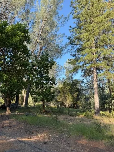 9030 Orval Beckett Ct, Placerville, CA 95667 photo 7