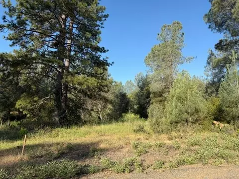 9030 Orval Beckett Ct, Placerville, CA 95667 photo 3