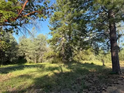 9030 Orval Beckett Ct, Placerville, CA 95667 photo 2