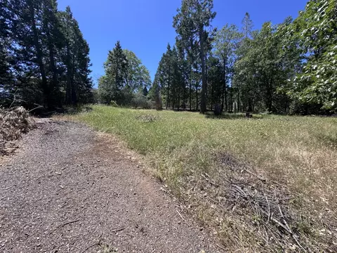 3720 Cedar Vis, Murphys, CA 95247 photo 3