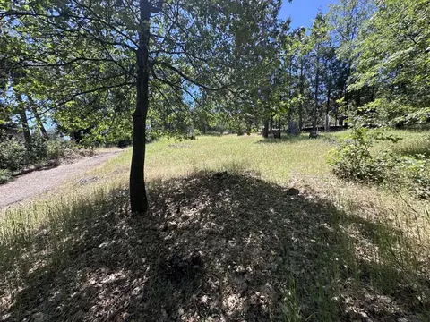 3720 Cedar Vis, Murphys, CA 95247 photo 4