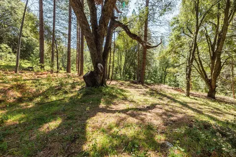 14737 Big Hill Rd, Sonora, CA 95370 photo 5