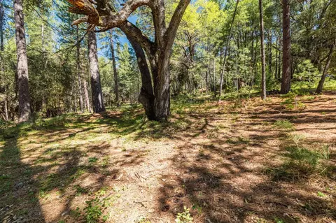 14737 Big Hill Rd, Sonora, CA 95370 photo 6