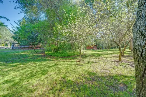 Exterior - 5475 Laird Rd, Loomis, CA 95650 photo 21 of 35