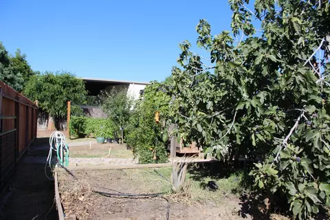 Exterior - 681 Taylor Rd, Lodi, CA 95242 photo 11 of 17