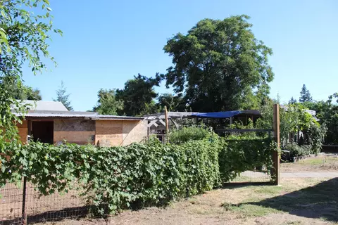 Exterior - 681 Taylor Rd, Lodi, CA 95242 photo 12 of 17