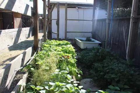 Exterior - 681 Taylor Rd, Lodi, CA 95242 photo 15 of 17