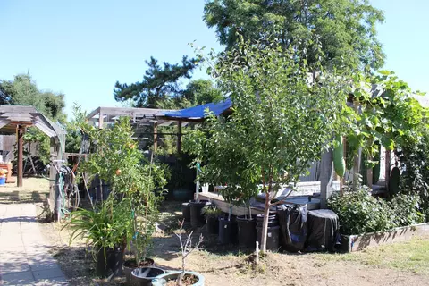 Exterior - 681 Taylor Rd, Lodi, CA 95242 photo 13 of 17