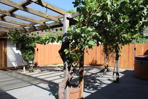 Exterior - 681 Taylor Rd, Lodi, CA 95242 photo 9 of 17