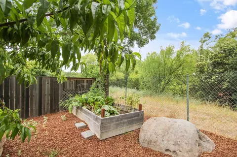 Exterior - 1418 Garrison St, Davis, CA 95616 photo 15 of 16