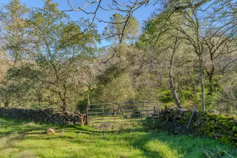 52 David Dr, Sutter Creek, CA 95685 photo 17