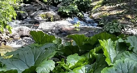 1 Usfs 8bn54 Rd, Somerset, CA 95684
