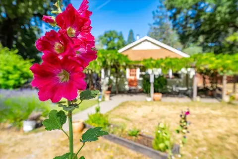 2020 Alexander Ln, Placerville, CA 95667