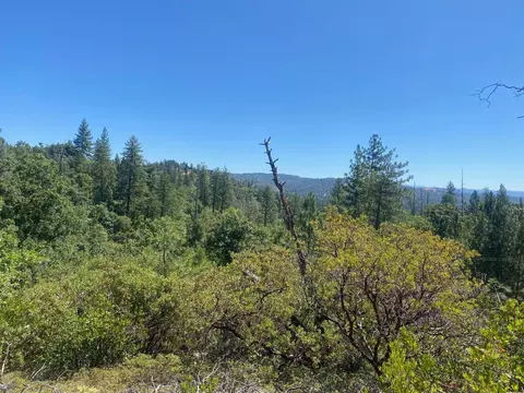 1636 Nickerson Ln, Murphys, CA 95247 photo 13