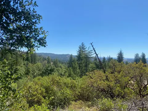 1636 Nickerson Ln, Murphys, CA 95247 photo 18