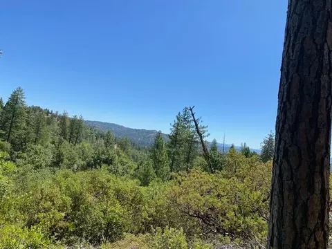 1636 Nickerson Ln, Murphys, CA 95247 photo 21