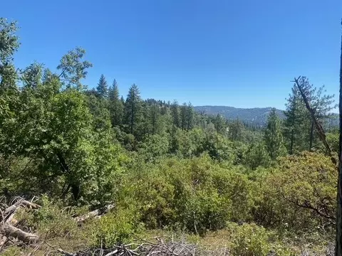 1636 Nickerson Ln, Murphys, CA 95247 photo 7
