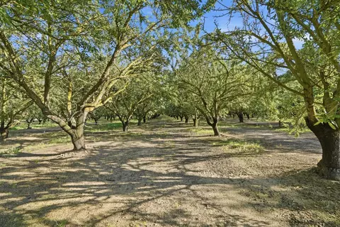 18401 S Carrolton, Ripon, CA 95366 photo 29