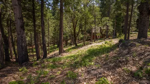 2690 Cheyenne Way, Dorrington, CA 95223 photo 2