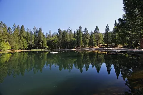 View/Area - 1802 Tamarack Dr, Arnold, CA 95223 photo 5 of 6