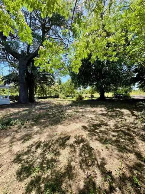 696 Justeson Ave, Gridley, CA 95948 photo 47