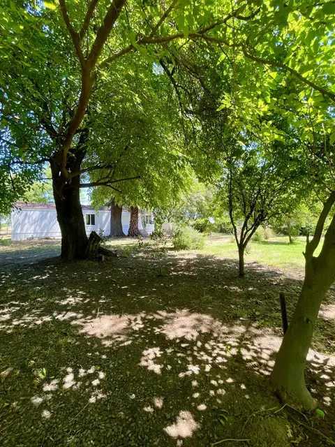696 Justeson Ave, Gridley, CA 95948 photo 49