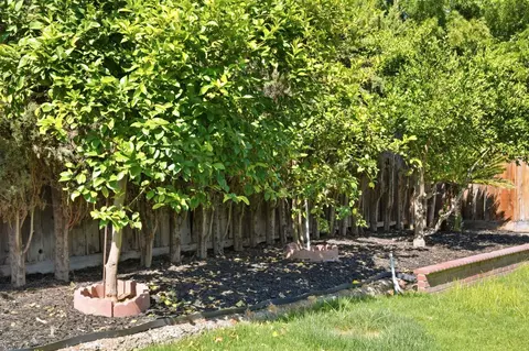 Exterior - 936 Oakbrooke Ct, Modesto, CA 95351 photo 13 of 15