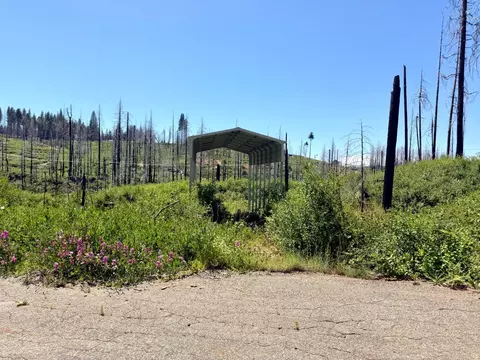 5110 Evergreen Dr, Grizzly Flats, CA 95636
