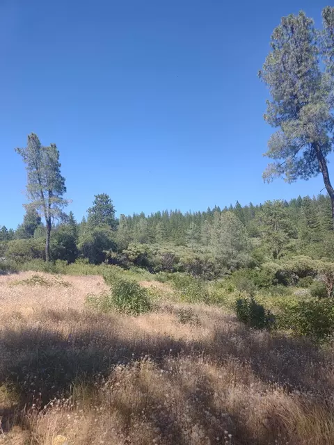 8679 Hilory Ln, Dobbins, CA 95935 photo 5