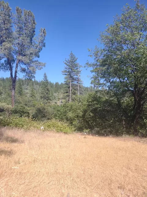 8679 Hilory Ln, Dobbins, CA 95935 photo 2
