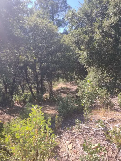 8679 Hilory Ln, Dobbins, CA 95935 photo 9