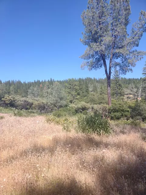 8679 Hilory Ln, Dobbins, CA 95935 photo 3