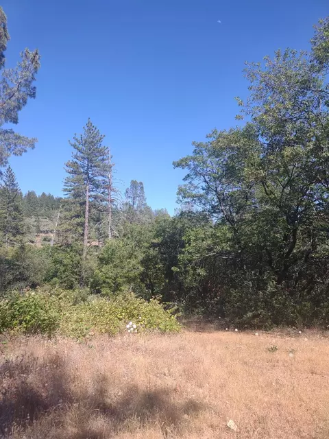 8679 Hilory Ln, Dobbins, CA 95935 photo 6
