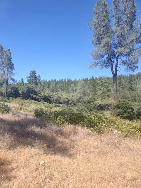 8679 Hilory Ln, Dobbins, CA 95935 photo 7