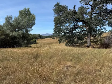 0 French Gulch Rd, Murphys, CA 95247 photo 3