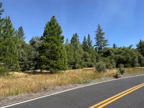 0 French Gulch Rd, Murphys, CA 95247 photo 2