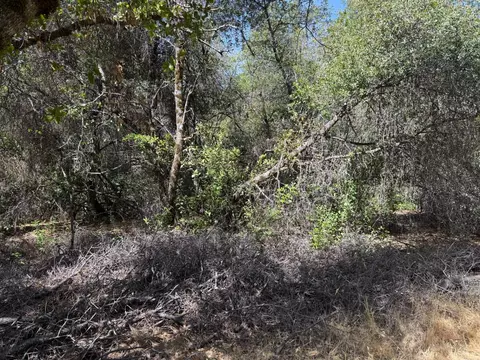 0 French Gulch Rd, Murphys, CA 95247 photo 14