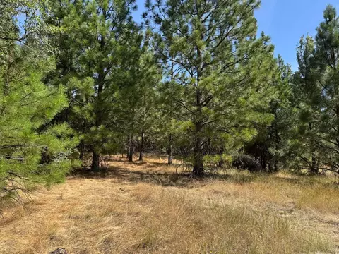 0 French Gulch Rd, Murphys, CA 95247 photo 9