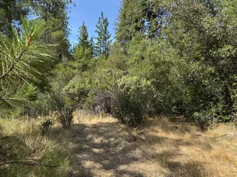 0 French Gulch Rd, Murphys, CA 95247 photo 15