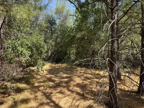 0 French Gulch Rd, Murphys, CA 95247 photo 13