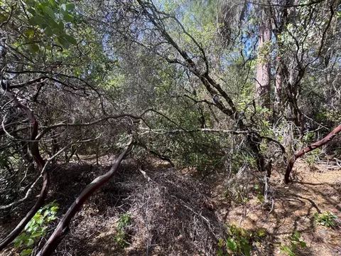 0 French Gulch Rd, Murphys, CA 95247 photo 16