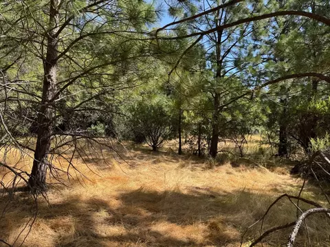 0 French Gulch Rd, Murphys, CA 95247 photo 17
